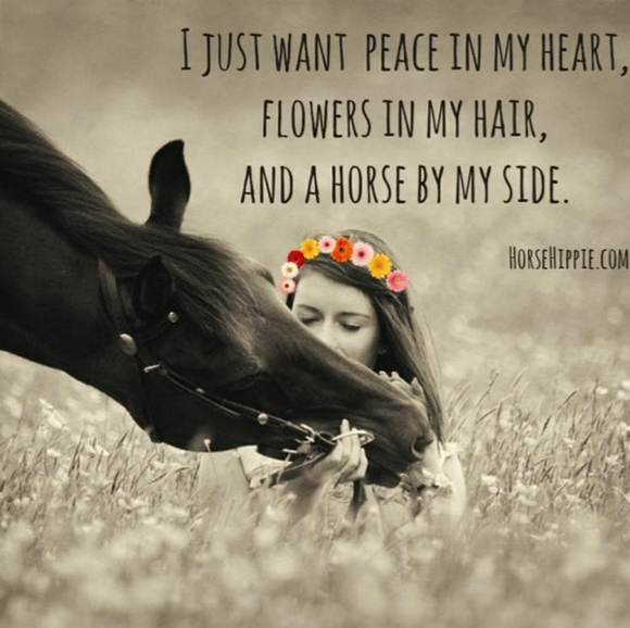 Iso horse tack - Picture 1 of 1